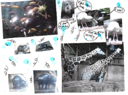 Untitled Zoo by Braylee, age 13